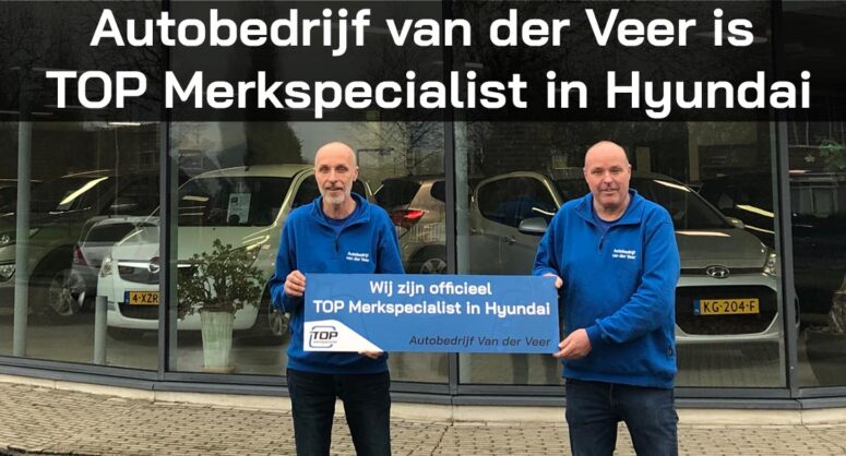 Hyundai specialist