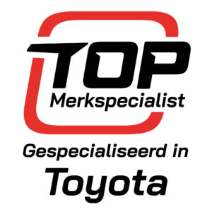 TOP Merkspecialist in Hyundai wit achtergrond rood vetos